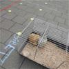 De Zoo van Beke